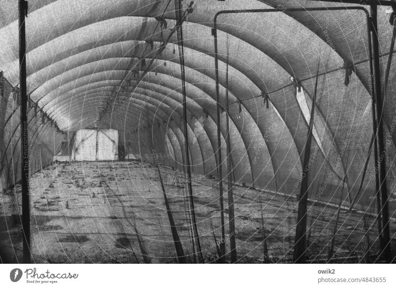 Hohlraum Gewächshaus Röhre geschwungen gebogen tunnelartig Tunnelbau Sonnenlicht Muster Abdeckung Detailaufnahme Strukturen & Formen Lagerbereich Lagerung