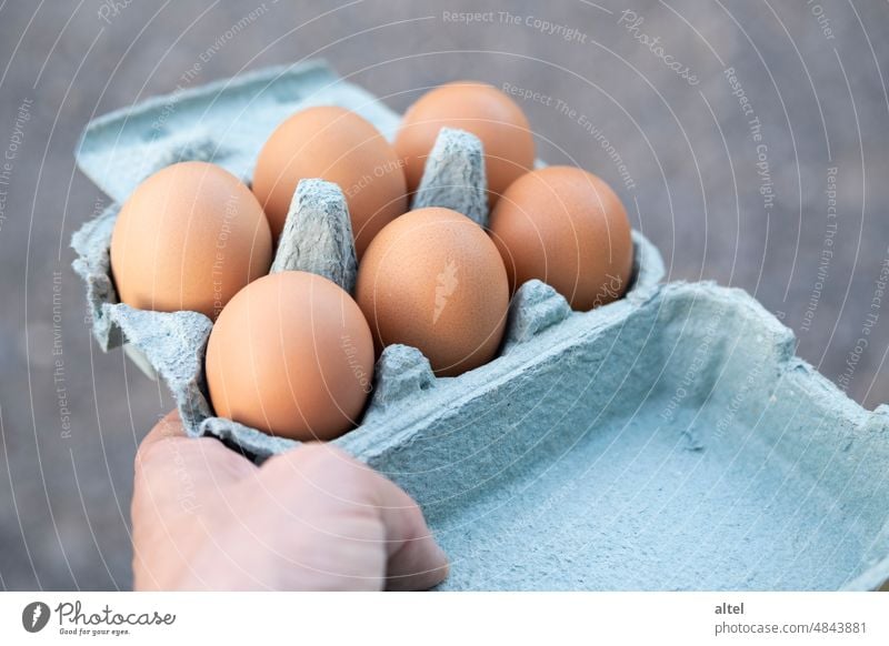 Eierkarton / Sixpack eier Ernährung eierschachtel Lebensmittel Ostern Eierschale Ostereier frisch Vegetarische Ernährung salmonellen Miethuhn Hühnerei