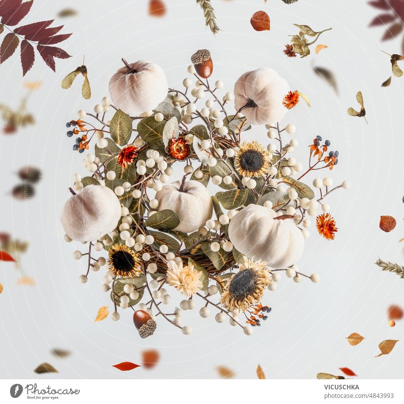 Herbstkomposition mit fliegendem weißen Kürbis, Herbstblättern, Trockenblumen und Eichel auf weißem Hintergrund. Herbstlaub Eicheln weißer Hintergrund
