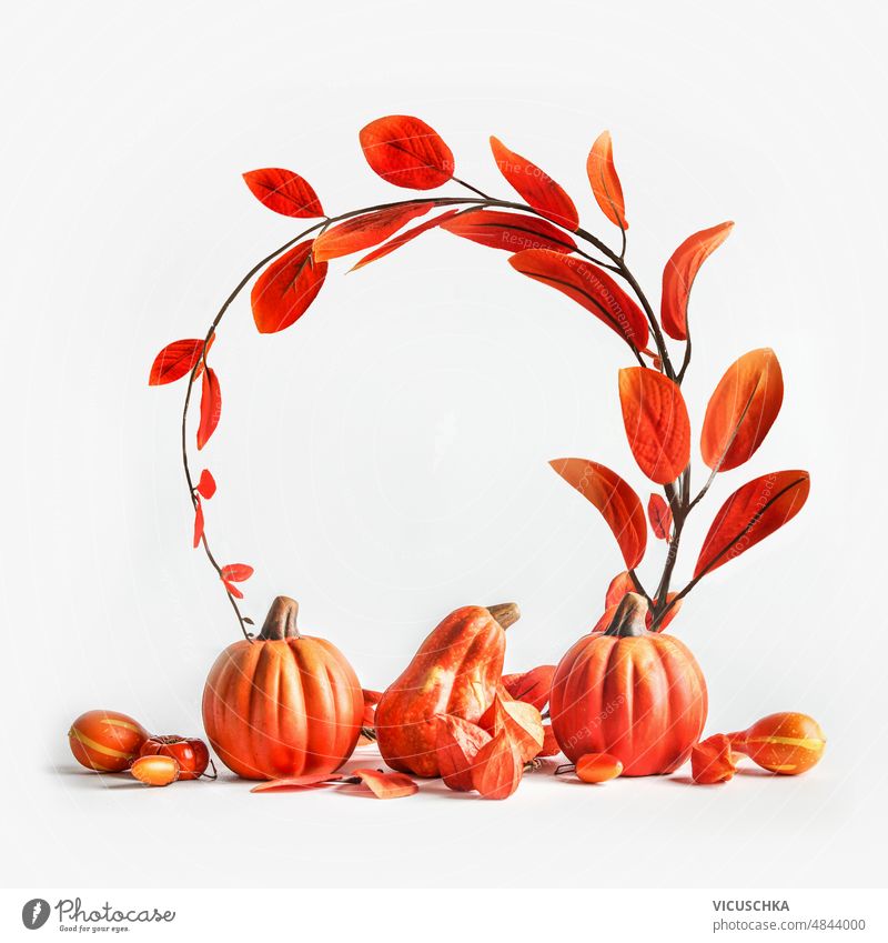Herbst Komposition mit Kürbissen und gebogenen Blättern Zweig in Kreisform auf weißem Hintergrund. Zusammensetzung gekrümmt Ast weißer Hintergrund saisonbedingt