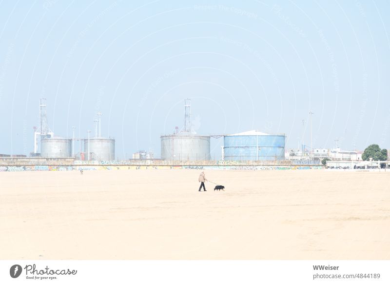 Ein Mann und sein Hund am Strand vor den Industriebetrieben im Hintergrund weit Herrchen Haustier spazieren Sand hell Hafen Hafenstadt frei Raum Außenaufnahme