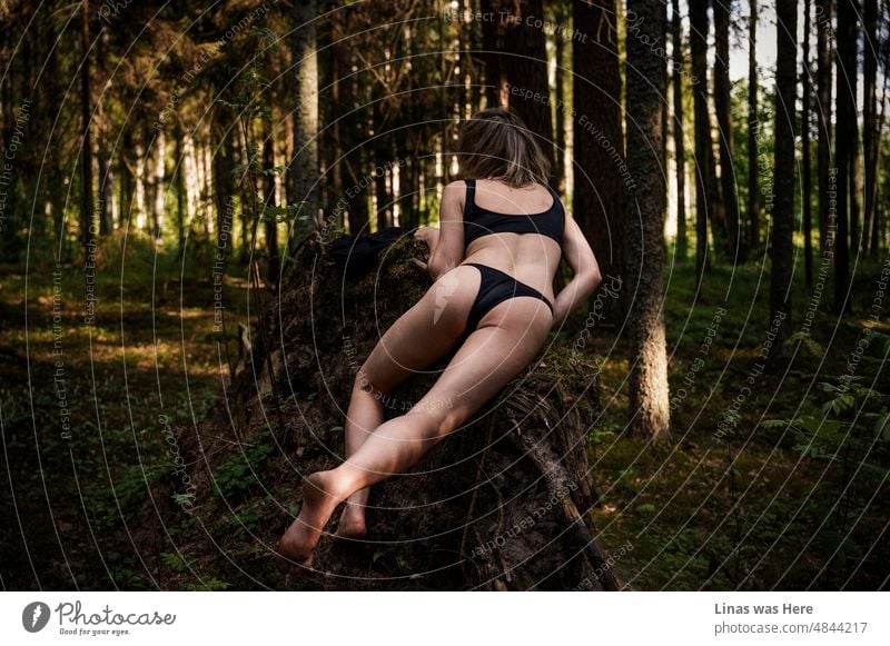Diese wilden Wälder werden von wilden Frauen durchstreift. Ein wunderschönes brünettes Dessous-Modell, das von hinten gut aussieht. Sie ist ganz frei im Wald. Ihr schwarzer Bikini passt perfekt in diese Wildnis.