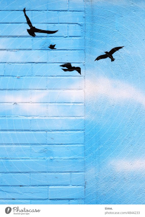 UrbanNature HB | Backsteinschwalben Wandmalerei vögel haus backstein blau putz wolken silhouette fliegen fake simulation grundierung kunst urban deko farbe