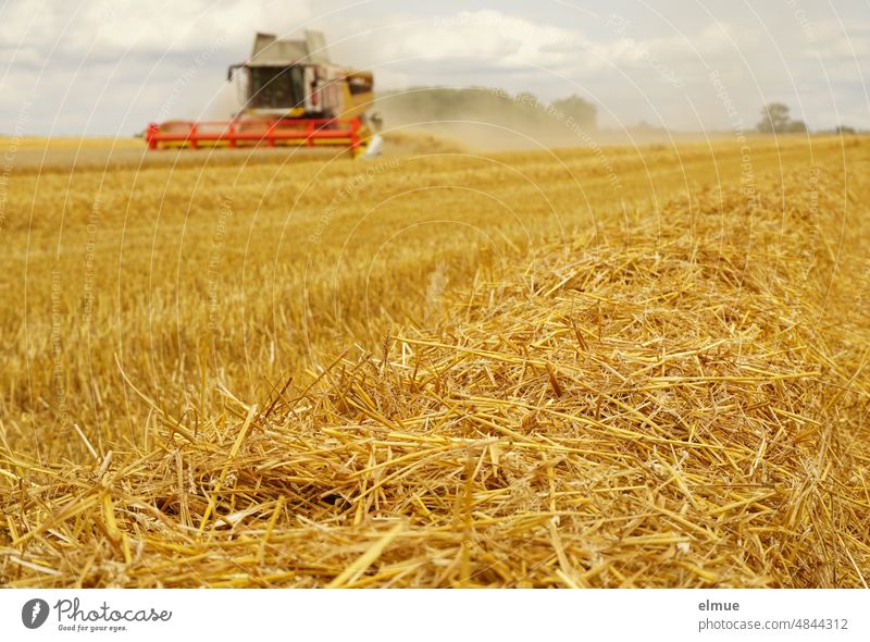 goldgelbes Getreidefeld während der Mahd mit Mähdrescher und Strohschwaden Getreideernte Erntetechnik Ernährung Schwad Schwade Feldbau Weizen reif Brotgetreide