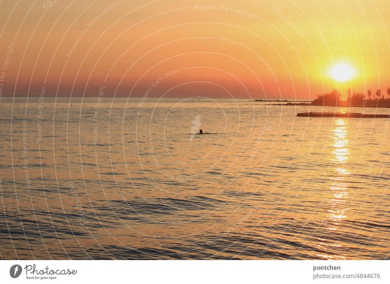 Ein Mensch schwimmt bei Sonnenuntergang im Meer Schwimmen schwimmer meer klein groß sonnenuntergang Wasssd Wasser mensch reisen Urlaub