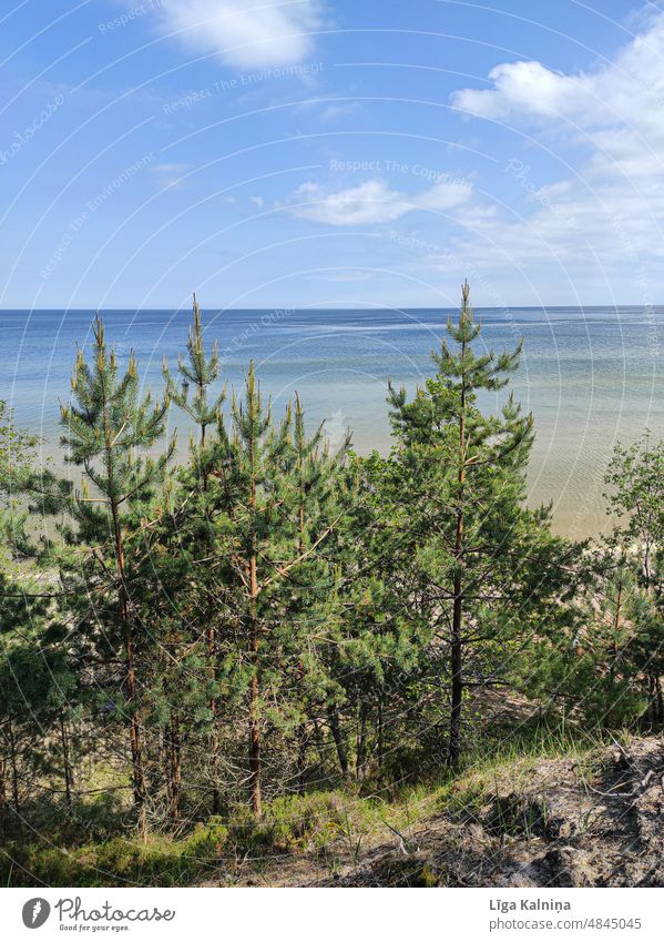 Meer MEER Nordsee Ostsee Ferien & Urlaub & Reisen Strand Sand Sommer Wasser Küste Tourismus Erholung Himmel Nordseeküste Sommerurlaub Landschaft Natur