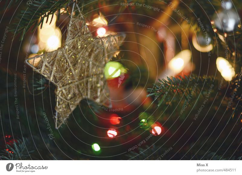 Weihnachtlich Feste & Feiern Weihnachten & Advent Baum leuchten glänzend gold Stern (Symbol) Weihnachtsbaum Baumschmuck Schmuckanhänger Christbaumkugel