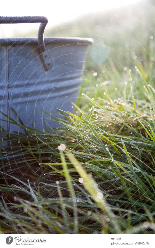 Waschtag Umwelt Natur Wassertropfen Gras Kessel Metall natürlich grün Waschen Farbfoto Außenaufnahme Morgen Sonnenlicht Sonnenstrahlen Gegenlicht