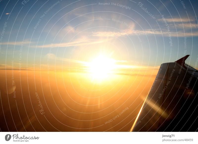 Airplane - Sunset Sonnenuntergang Sonnenaufgang Flugzeug Ferien & Urlaub & Reisen Wolken fliegen Düsenflugzeug Himmel