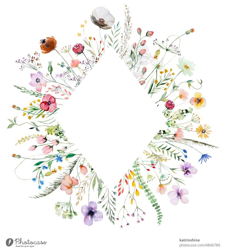 Geometrische Rahmen aus Aquarell Wildblumen und Blätter, Hochzeit und Gruß Illustration Geburtstag botanisch farbenfroh Dekoration & Verzierung Zeichnung
