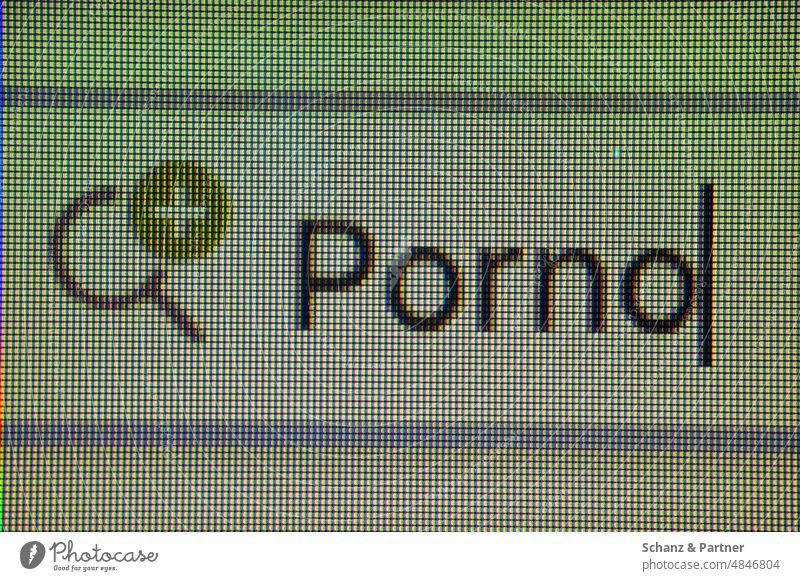 Das Wort Porno in einem Suchfeld auf einer Internetseite Monitor Pixel googeln Suchmaschine Statistik Makroaufnahme Lupe Recherche heimlich Sexualität