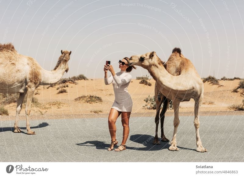 Ein glückliches, lächelndes Mädchen macht ein Selfie mit einem Kamel am Straßenrand während eines Ausflugs in die Wüste, Dubai, VAE Camel wüst Foto Glück nimmt