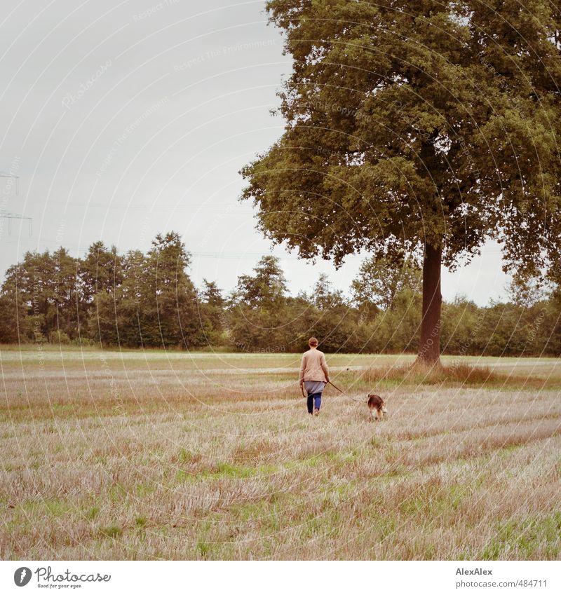 Junge Frau geht mit Schäferhund auf einer Weide - Rückansicht Jugendliche 18-30 Jahre Erwachsene Baum Gras Sträucher Feld Jeanshose Jacke Hundeleine brünett