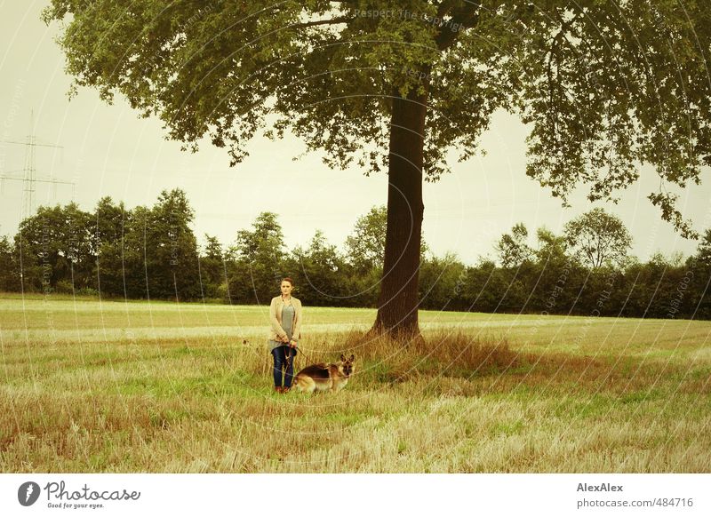 Mädchen mit Hund wandern Junge Frau Jugendliche 18-30 Jahre Erwachsene Feld Baum fällen Sträucher Jeanshose brünett Schäferhund beobachten entdecken Erholung