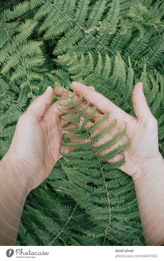 Natur Hintergrund der Hände greifen grüne Blätter und Pflanzen mit dunklen Schatten und kopieren Raum und luftigen Konzept. Wallpaper Bild, tief durchatmen und entspannen geistige Gesundheit Konzept.