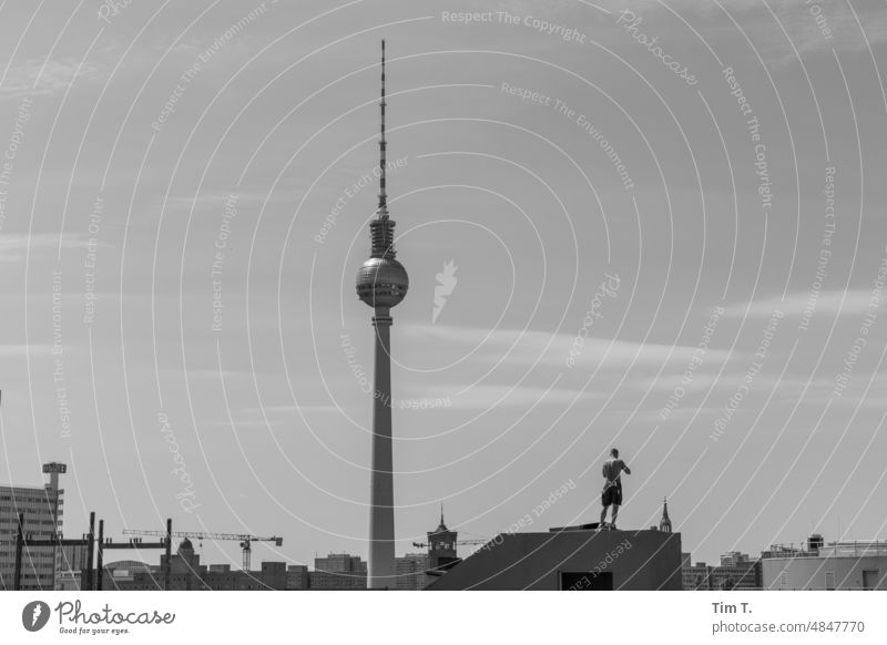Berliner Fernsehturm von Prenzlauer Berg gesehen Skyline bnw Hauptstadt Stadt Stadtzentrum Architektur Berlin-Mitte Wahrzeichen Außenaufnahme Sehenswürdigkeit