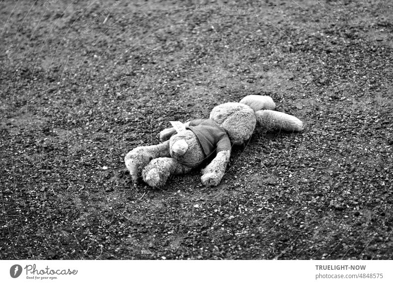 Hitze Opfer oder Kinder Zorn? Teddy Kuschelhase liegt platt mit Gesicht nach unten einsam wie verloren vergessen oder verlassen auf dem Weg Kuschelbär allein