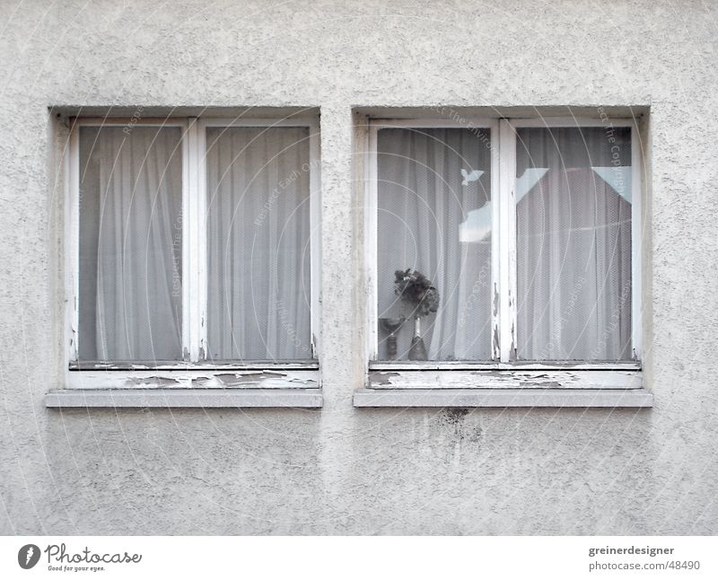 Fenster trist Nachbar Gebäudeteil Fensterbrett Dorf Trauer Provinz Arme schäbig dreckige fassade auf dem land Traurigkeit