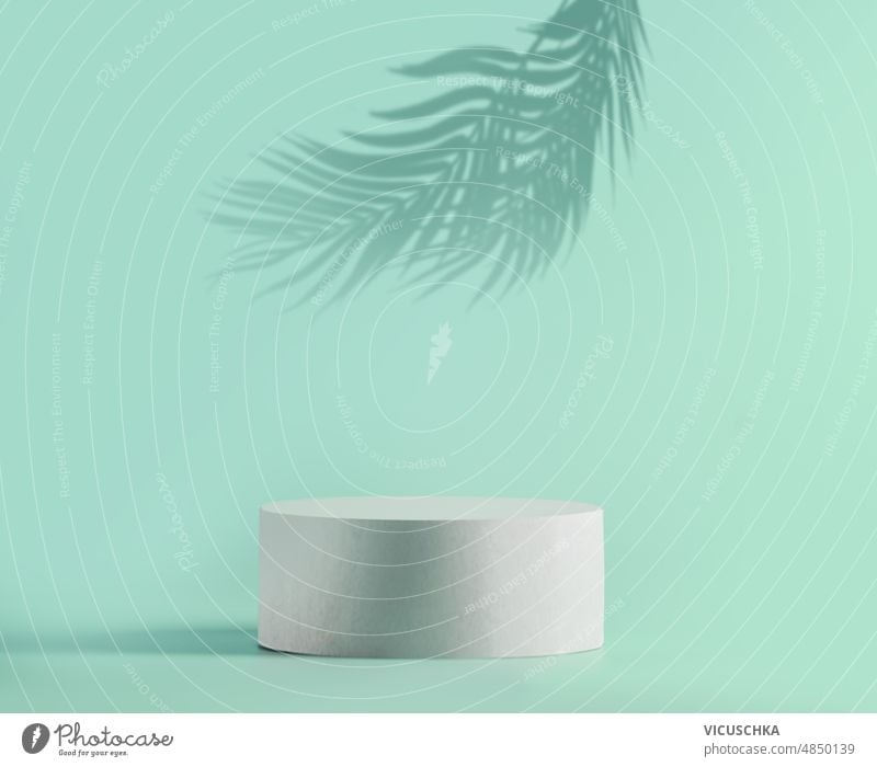 Modernes Zylinderpodium mit Platz für die Warenplatzierung mit Palmenblättern im Schatten auf mintgrünem Hintergrund. modern Flaschenpodest leer Vitrine Anzeige