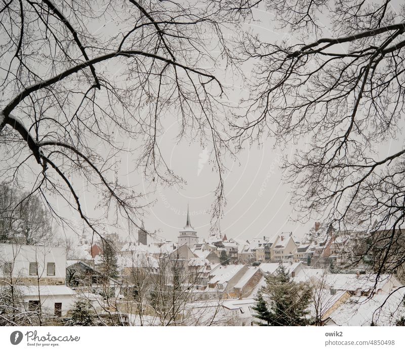 Schneeversunken Winterlandschaft Wintertag Winterstimmung Kontrast Himmel bedeckt Kleinstadt verschneit Dach Gebäude Fenster Tag Panorama (Aussicht)
