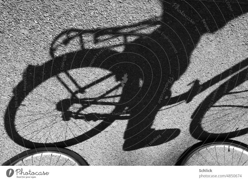 Fahrradfahrer wirft seinen Schatten auf Asphalt abstrakt graphisch Tag hell Sonnenschein Sommer Sonnenlicht Abstraktion Schattenspiel Straße Kontrast Sport