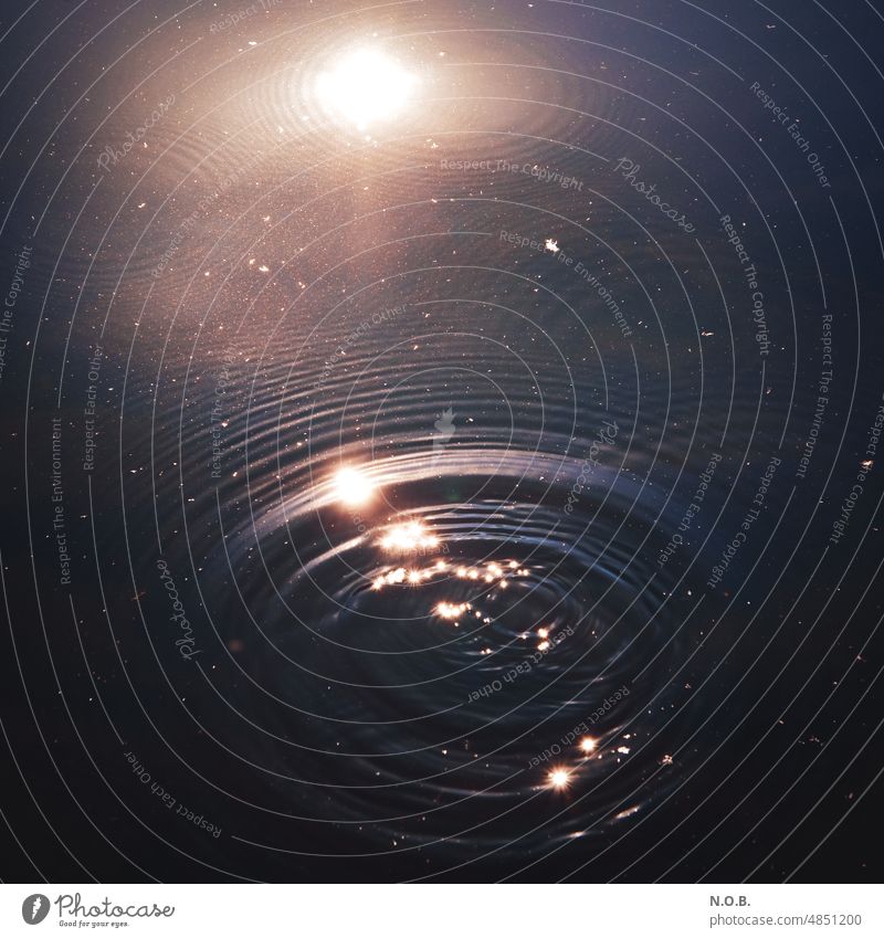 Ringe im Wasser im abendlichen Licht Spiegelung im Wasser Menschenleer Außenaufnahme Reflexion & Spiegelung Natur Wasseroberfläche See Farbfoto Sonnenlicht