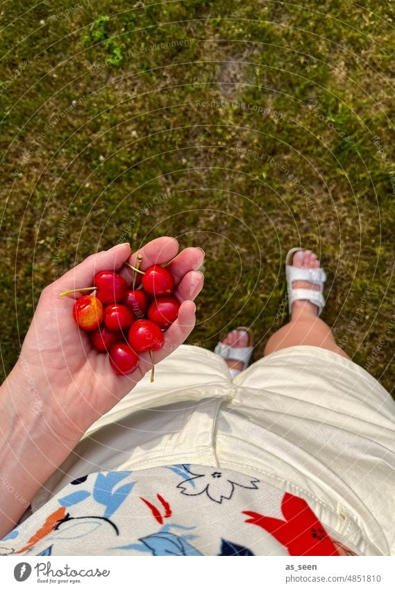 Kirschernte Kirschen Hand Wiese Vogelperspektive Sommer Frucht rot reif Lebensmittel Ernte frisch Natur Garten grün weiß blau Muster T-shirt Hose Sandalen