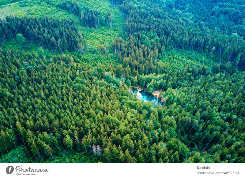 Luftaufnahme eines blau gefärbten Waldsees in Polen blauer See Antenne grün Teich farbenfroh Ansicht oben Top Wasser Herz wild Farbe Erholung Berge u. Gebirge