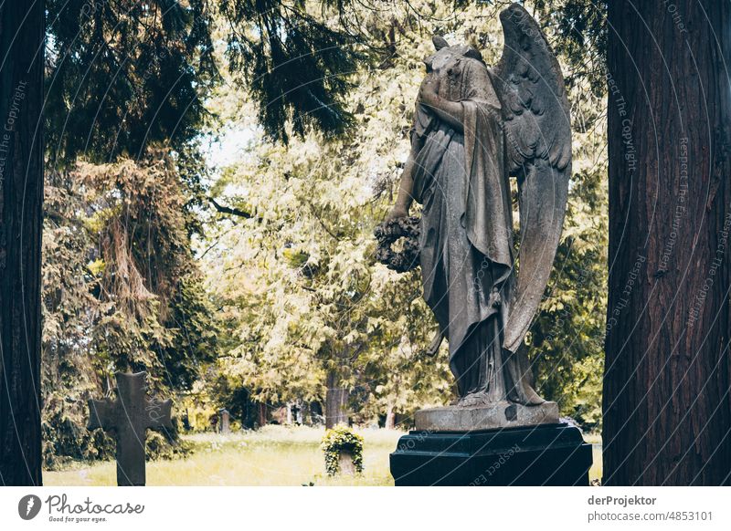 Friedhof mit Engel ohne Kopf Gefühle Abschied sterben Tod Park Gedenken Leidenschaft Wahrheit Ehrlichkeit authentisch standhaft Statue Stein Farbfoto