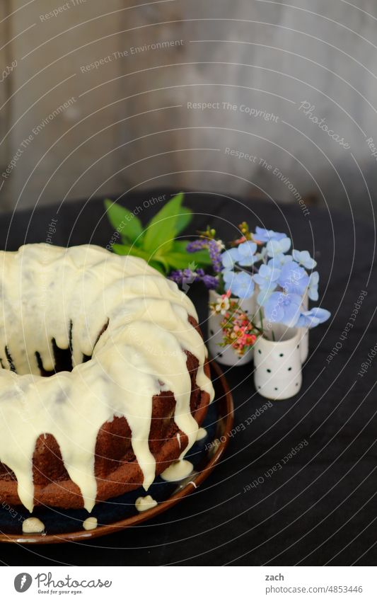 Geschmacksexplosionen Kuchen Backwaren Foodfotografie backen Lebensmittel Puderzucker süß lecker Blüte Blume Keramik Teller Torte Gugelhupf Gugelhopf