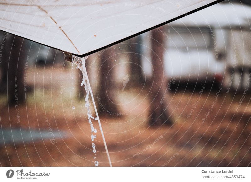 Regenguss auf dem Campingplatz, vom Zelt aus gesehen. regnerische Tage regnerisches Wetter Camper alt reisen regnen Zeltplatz Zelten überschwemmen
