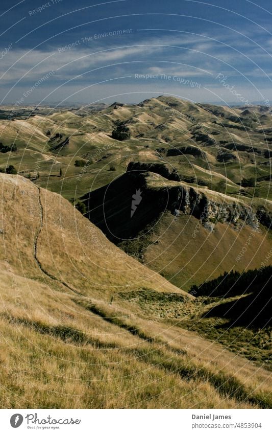 Grasige Bergszene an einem sonnigen Tag Wege & Pfade Landschaft Menschenleer Neuseeland ruhig Natur Außenaufnahme ländlich Windstille friedlich Berge