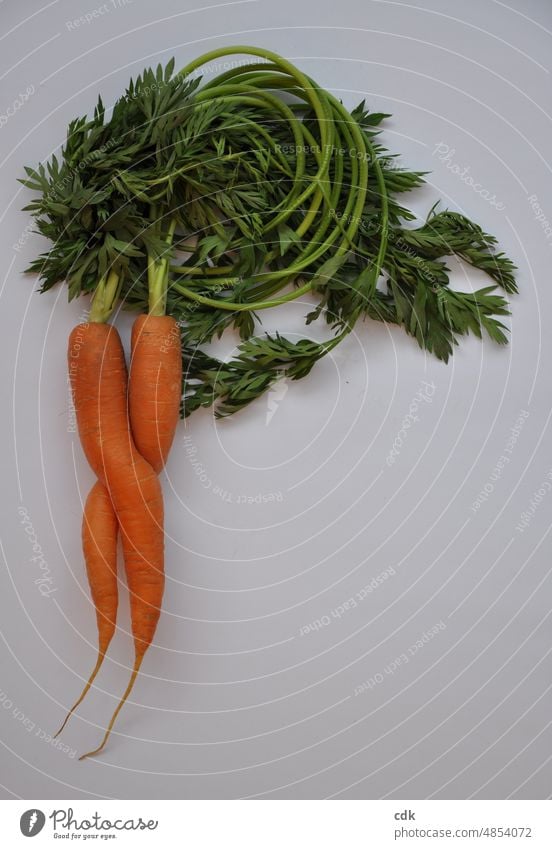 Karotten mit Grün | für photocase-Liebhaber. Möhren Bundmöhren Möhren mit Grün grünes Kraut bio biologisch ökologisch Lebensmittel Nahrungsmittel Gemüse gut