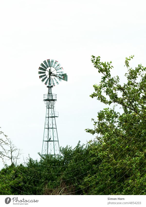 Windrad Windenergie windkraft Natur Umwelt Turm Gerüst Aussicht alternativ nachhaltig Technik & Technologie Windkraft Himmel begrünt Relikt Ressource