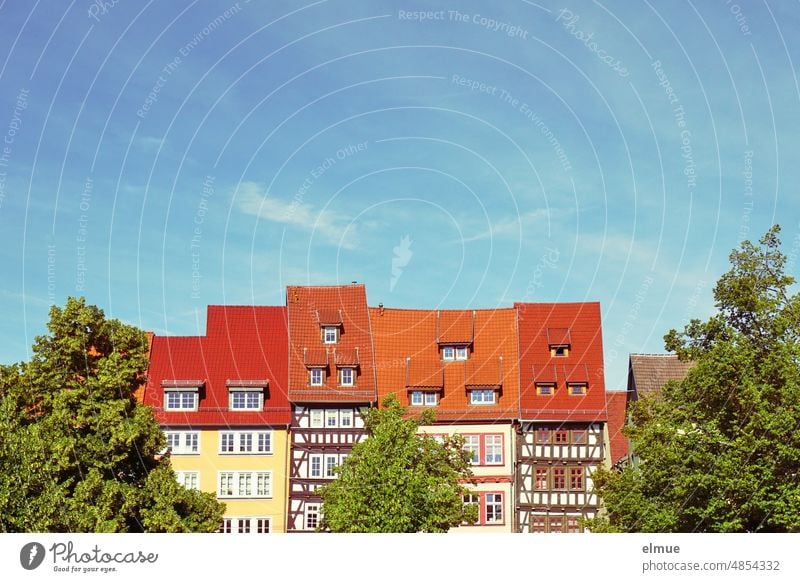 historische Häuserzeile mit roten Dächern und grünen Bäumen vor blauem Himmel / Fachwerkhäuser Erfurt Landeshauptstadt Thüringen wohnen Farbe Wahrzeichen