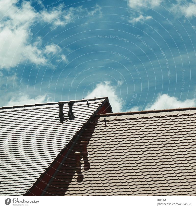 Vis-à-vis Dach oben Haus Bauwerk Architektur Ordnung Formation aufgereiht Ziegeldach Dachlandschaft Oberfläche Oberflächenstruktur graphisch Dachkante