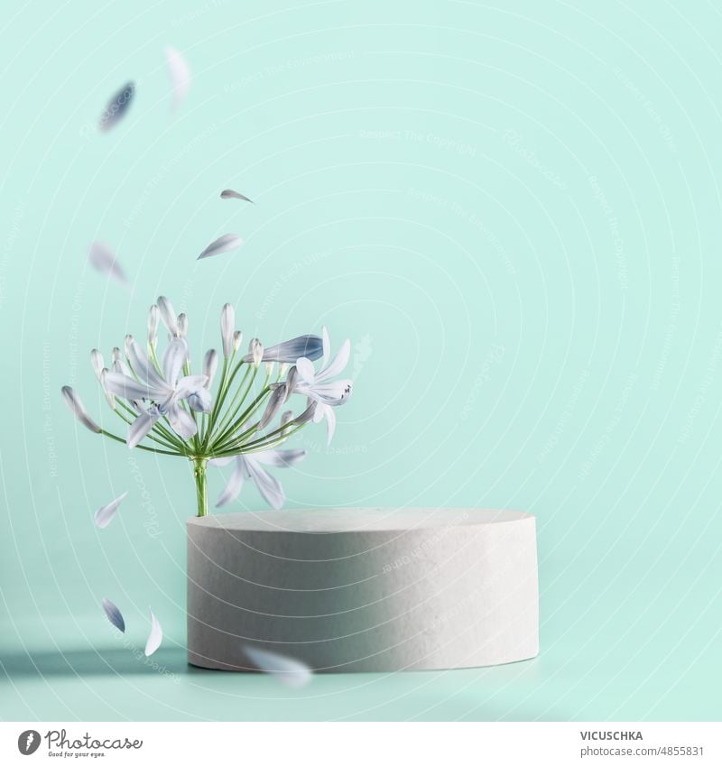 Schöne minimale moderne Produkt-Display mit Podium mit Blumenblüte mit fliegenden Blütenblättern auf blassblauem Hintergrund. schön sehr wenige Anzeige