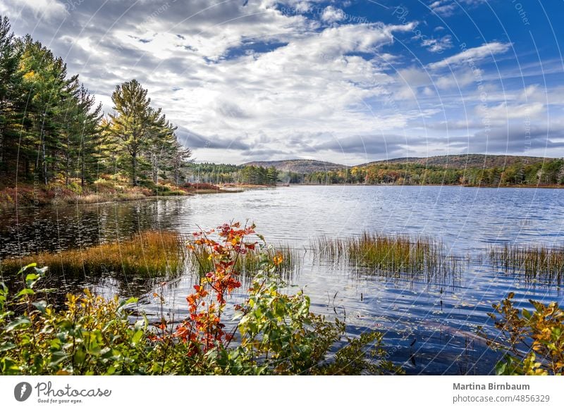 Der Hexenlochteich im Acadia-Nationalpark, Maine See Akadien Natur Teich Park reisen schön im Freien Wald Landschaft Sommer Baum natürlich Herbst außerhalb