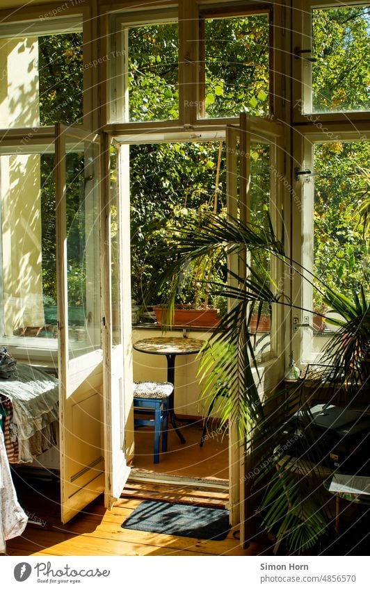 Blick auf sommerlichen Balkon Balkonpflanze Altbau offen begrünt Sommer Balkonien bewachsen Stadtleben Balkondekoration Idylle Häusliches Leben Wohnung Fenster