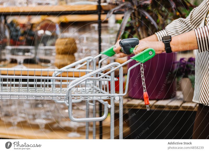 Crop-Kunde mit Einkaufswagen in der Nähe der Regale Frau Handwagen Werkstatt Spaziergang schieben Gewerbe besuchen Einzelhandel älter Senior gealtert Laden