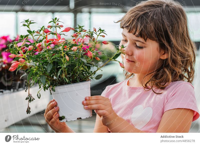 Glückliches kleines Mädchen mit Topfblume Lächeln Blume Werkstatt besuchen Käufer Pflanze Porträt Kind lässig dunkles Haar Blütezeit bezaubernd natürlich frisch