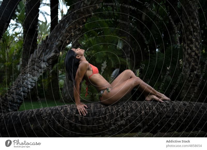 Schwarze Frau im Bikini sitzt auf einem Baum Kofferraum Badeanzug Natur tropisch Freizeit Zeitvertreib ruhen Erholung Resort exotisch Badebekleidung schwarz