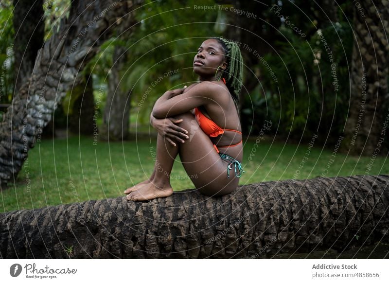 Schwarze Frau im Bikini sitzt auf einem Baum Kofferraum Badeanzug Natur tropisch Freizeit Zeitvertreib ruhen Erholung Resort exotisch Badebekleidung schwarz