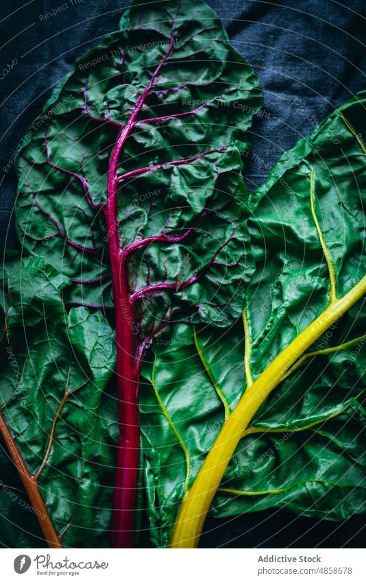 Detail von einigen grünen Mangoldblättern Blatt Gemüse organisch Lebensmittel Salatbeilage frisch purpur Bestandteil Vegetarier natürlich Pflanze Frische roh