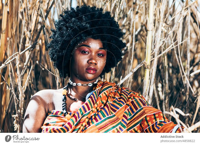 Kurvige afrikanische Frau berührt trockenes Gras auf dem Lande Tradition Landschaft authentisch Feld trocknen Outfit Porträt Übergröße Kurve Stil packen schwarz