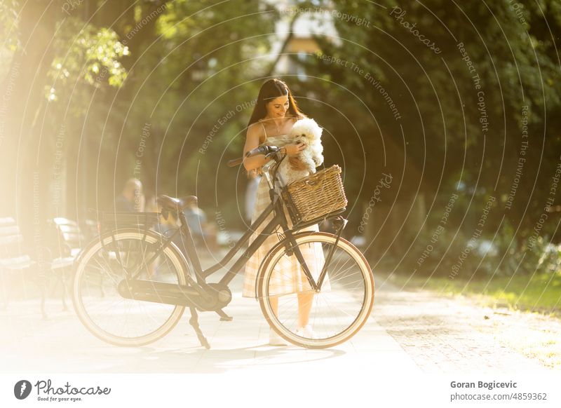 Junge Frau mit weißem Bichon frise Hund in den Korb des elektrischen Fahrrads aktiv Aktivität Erwachsener Tier schön Kaukasier Fahrradfahren Tag Elektrofahrrad