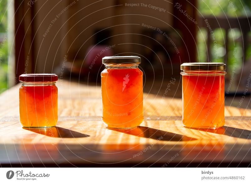 3 Gläser mit Quittengelee von hinten angestrahlt auf einem Holztisch Marmelade Marmeladengläser selbstgemacht süß fruchtig Lebensmittel Marmeladenglas