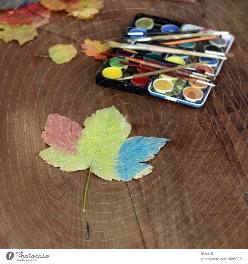 Herbstfärbung Freizeit & Hobby Spielen Basteln Kinderspiel Kunst Maler Blatt mehrfarbig Farbe Kreativität Farbkasten Ahornblatt Herbstlaub Holztisch Wasserfarbe