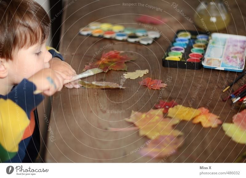 Konzentriert Freizeit & Hobby Spielen Kinderspiel Tisch Mensch Kleinkind 1 1-3 Jahre 3-8 Jahre Kindheit Maler Herbst Blatt niedlich mehrfarbig fleißig