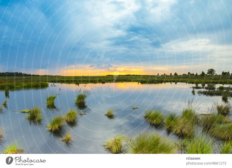 Moorsee mit Sonnenuntergang in Belgien Veen Landschaft Natur Wolken Himmel weg benelux blau Blaue Stunde Naturschutzgebiet bedeckt Eifel Europa Fläche